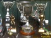 Trophies